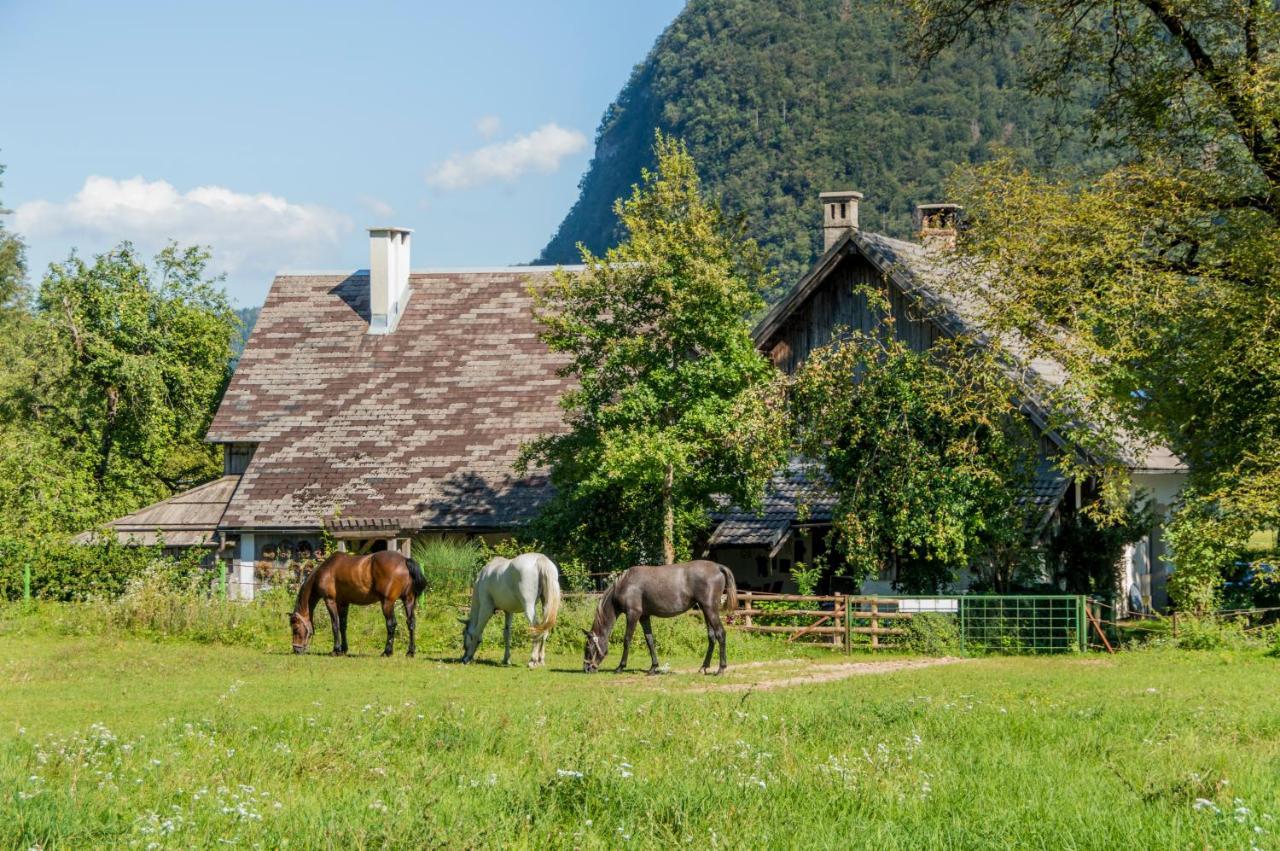 Charming Blacksmith'S House @ Lake Бохинь Экстерьер фото